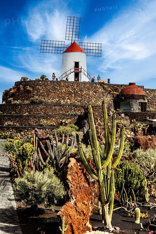 2016, Guatiza, Lanzarote, Jardin de Cactus by Cesar Manrique, ESP, Spain, Canary Islands, Canary Islands, Atlantic Ocean, Lanzarote, biosphere reserve, volcano, volcanism, volcanic island, island, recording date, Europe