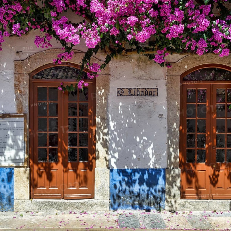 Façade decorated with flowers in the medieval village of Óbidos, Portugal, Europe