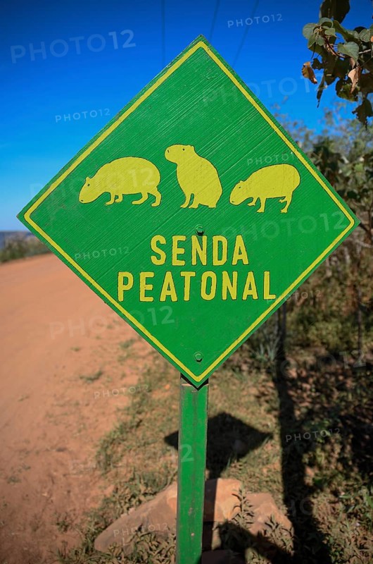 Sign Beware of Capybaras (Hydrochoerus hydrochaeris), Colonia Carlos Pellegrini, Esteros del Iberá, Province of Corrientes, Argentina, South America