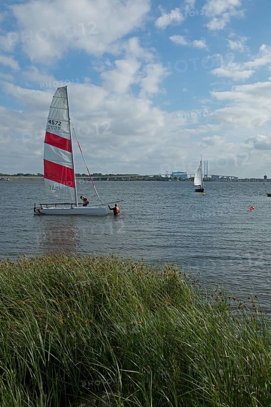 Sailing boats, Rügen Bridge, Altefähr, Rügen Island, Mecklenburg-Western Pomerania, Germany, Europe