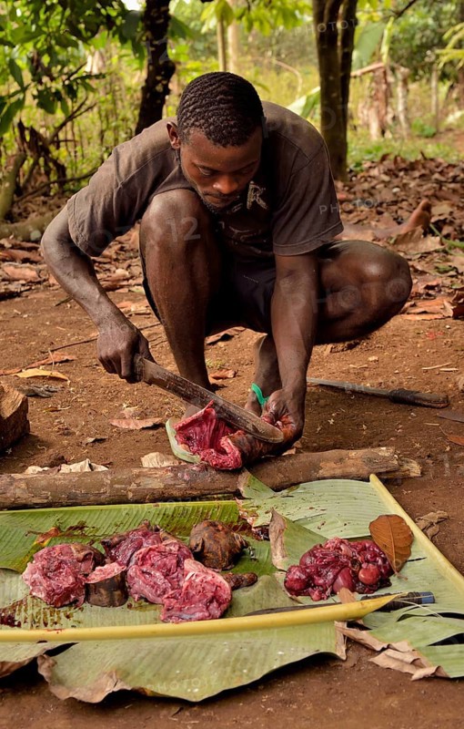 Local man preparing bushmeat, Mangamba, Littoral Province, Cameroon, Africa