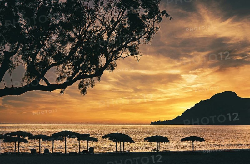 Sunset with parasols and tree and mountain, Mediterranean Sea, Plakias, Crete, Greece, Europe