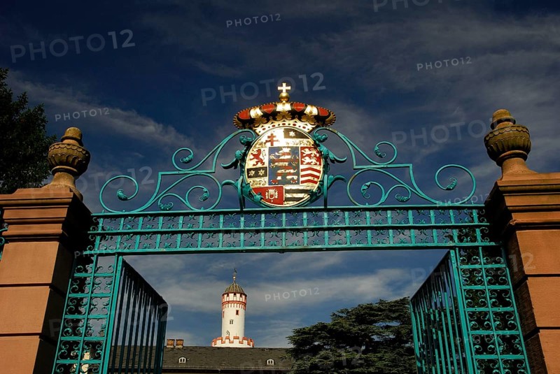 Entrance gate to the castle, coat of arms of the Landgraviate of Hesse-Homburg, keep, Bad Homburg, Hesse, Germany, Europe