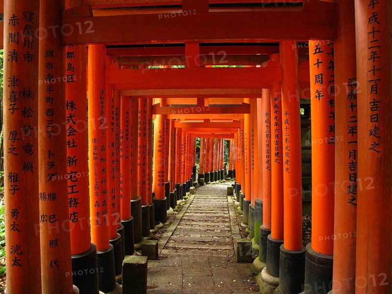 Torii Gates, Fushimi Inari Shrine, Kyoto, Japan, Asia