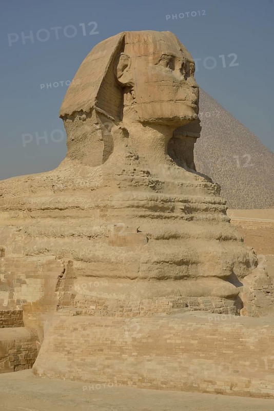 Sphinx or Great Sphinx of Giza, lion with a human head, built in the 4th Egyptian dynasty around 2700 BC, in front of the Pyramid of Cheops, Giza, Egypt, Africa
