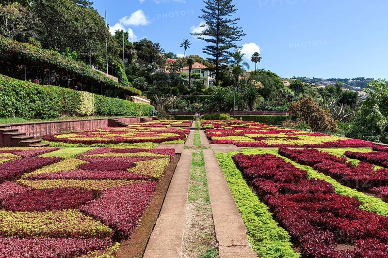Flowerbeds and plants laid out as samples, Funchal Botanical Garden, Jardim Botanico, Madeira, Portugal, Europe