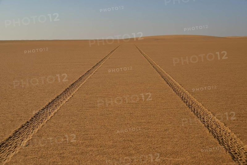 Car tracks in the sand in the Nubian Desert in Dongola, Northern, Nubia, Sudan, Africa
