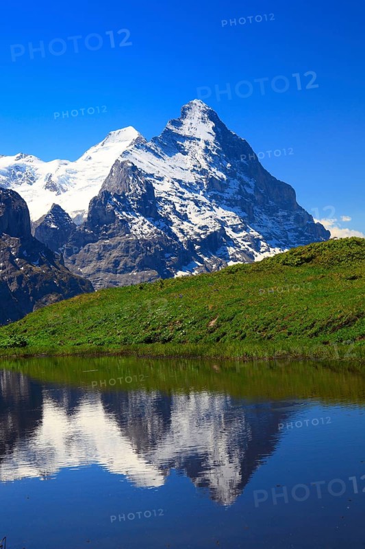 Eiger and Mönch, Grindelwald, Bernese Oberland, Switzerland, Europe