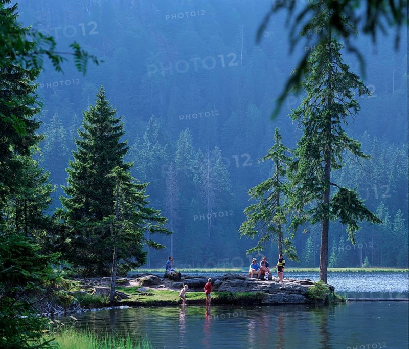 Arbersee, Großer Arber, Bavarian Forest National Park, Bavaria, Germany, Europe
