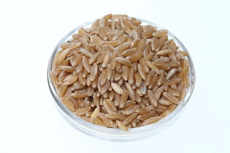 Khorasan wheat (Triticum turgidum × polonicum), also called kamut, is an old variety of spring wheat