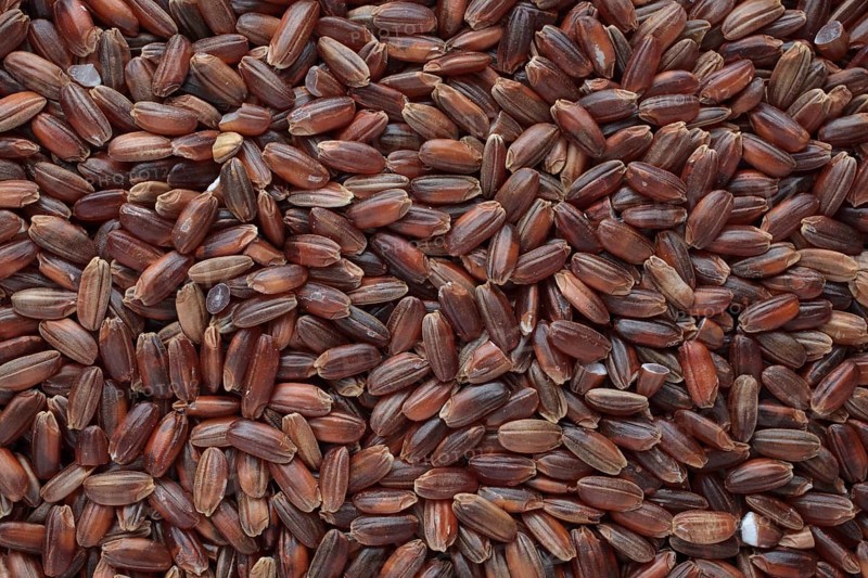 Red rice, Camargue rice from France, rice variety with a red bran layer, usually offered as brown rice, wholemeal product, the rice gets its red colour from the anthocyanin content in its bran layer