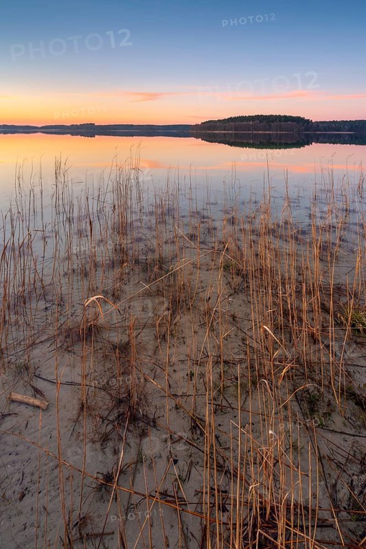 Great Lake Fürstensee with reeds at sunset, Müritz National Park, Fürstensee, Mecklenburg-Western Pomerania, Germany, Europe