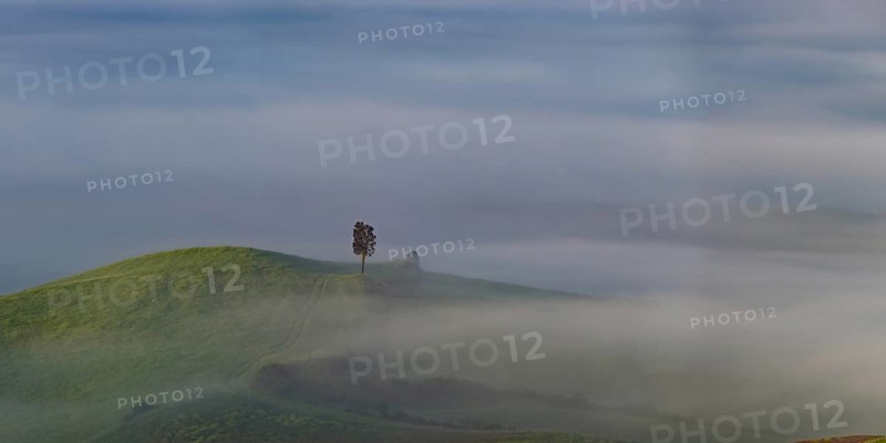 Landscape at sunrise around Volterra, province of Pisa, Tuscany, Italy, Europe