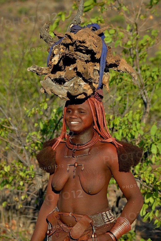 Himba woman gathering wood, Ombombo, Kaokoland, Kunene, Namibia, Africa