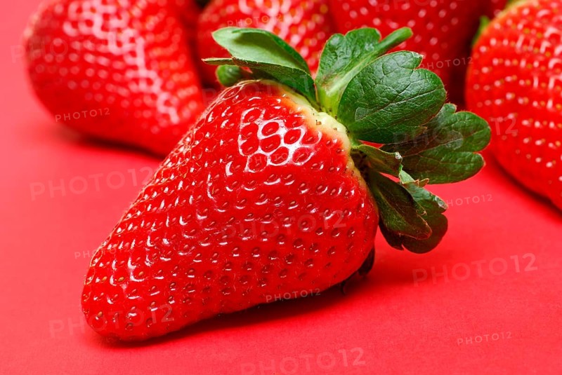 (Fragaria x ananassa) strawberry