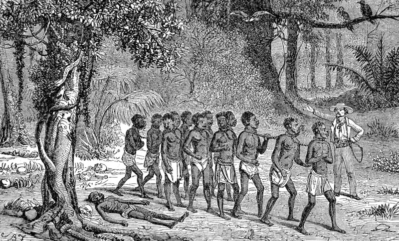 Slaves crossing a forest of the dead, slave hunters in the Congo in 1868, Historic, digitally restored reproduction of an original 19th century artwork, exact original date not known