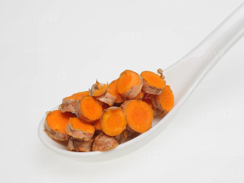 Turmeric (Curcuma longa) or curcume, yellow ginger, saffron root, turmeric, plant species of the ginger family, medicinal plant, dye plant and spice