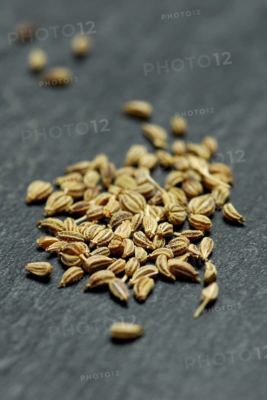 Ajwain-Seeds (Trachyspermum ammi) , Bishop's wort