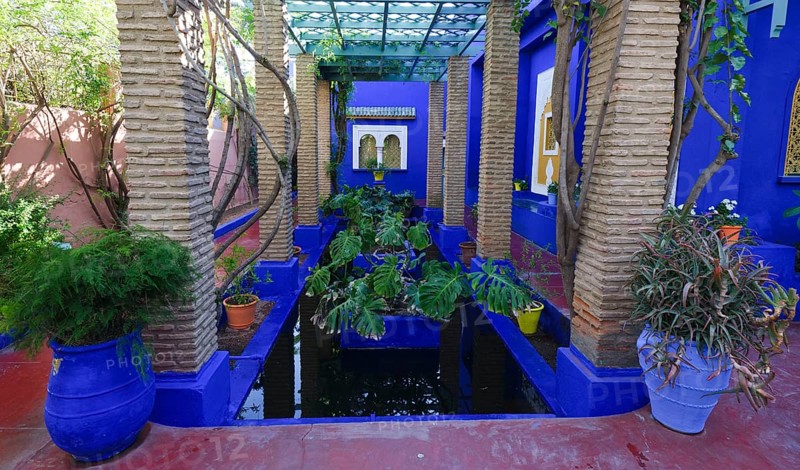 Morocco, Jardin Majorelle Botanical Garden in Marrakech, Africa