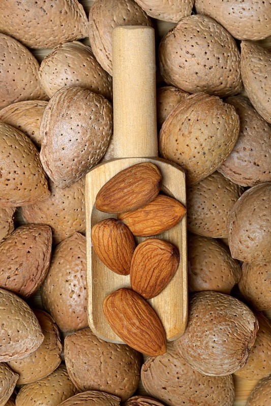 Almond kernels and almonds (Prunus dulcis)