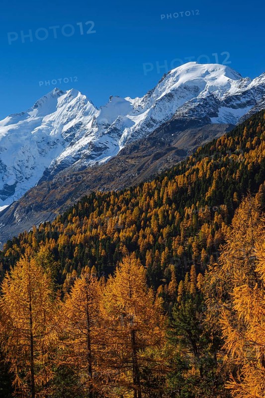 Biancograt, Piz Bernina, 4049 m, Piz Morteratsch, 3751, Upper Engadine, Grisons, Switzerland, Europe