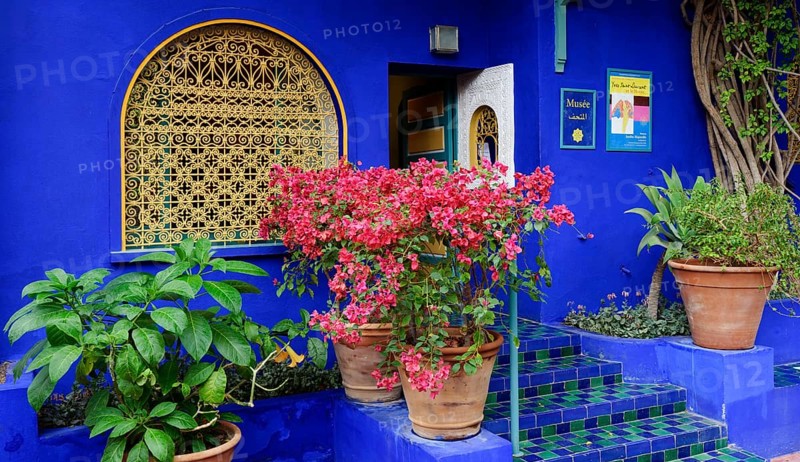 Morocco, Jardin Majorelle Botanical Garden in Marrakech, Africa