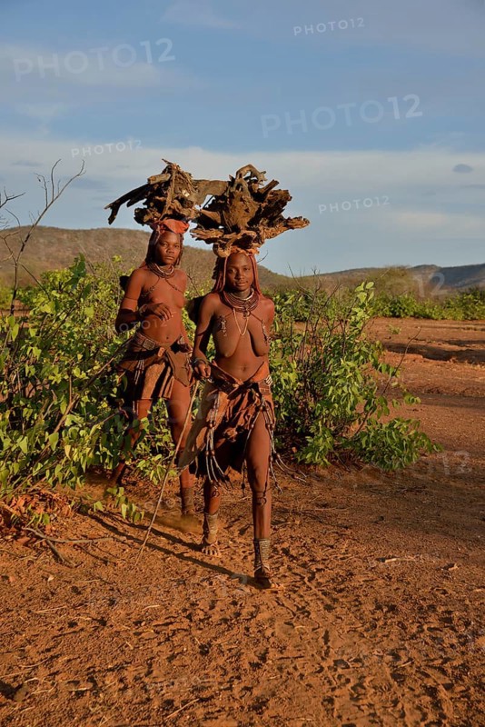 Himba women gathering wood, Ombombo, Kaokoland, Kunene, Namibia, Africa