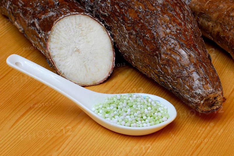 Cassavaroots and tapioca beads, roots (Manihot esculenta) tapioca beads, pearl tapioca, starch, tapioca starch