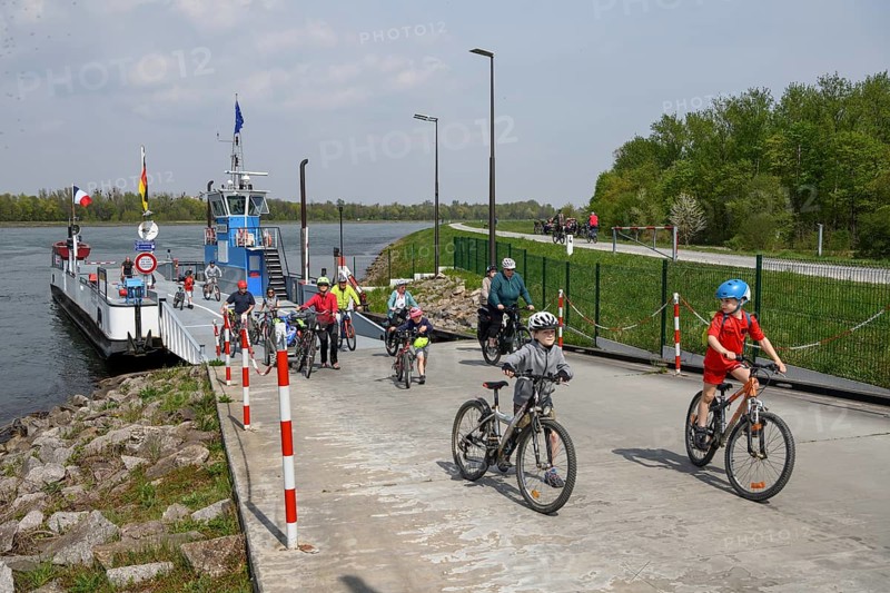 Rhine ferry Drusus between Drusenheim (France) and Greffern (Germany) at the pier in Greffern, municipality of Rheinmünster, district of Rastatt, Baden-Württemberg, Germany, Europe