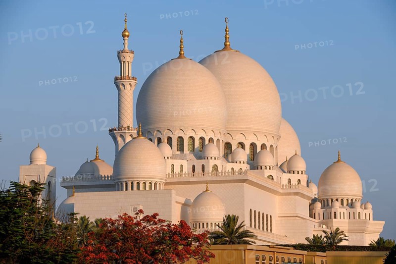 Sheikh Zayed Mosque, Domes, Abu Dhabi City, Emirate of Abu Dhabi, United Arab Emirates, Asia
