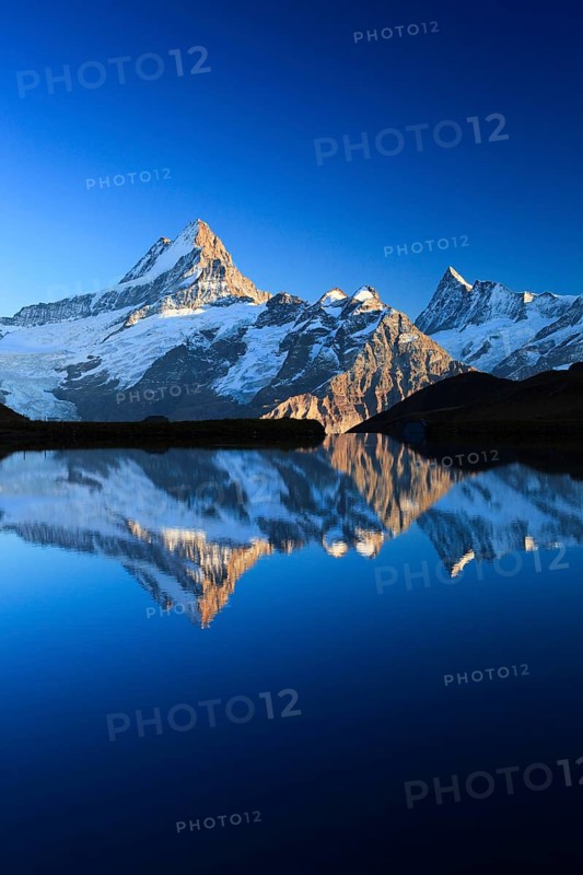 Bachalpsee, Schreckhorn, 4078 m, Finsteraarhorn, 4274 m, Bernese Oberland, Switzerland, Europe