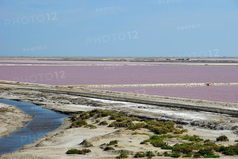 Salin de Giraud, seawater saltworks, saltworks, salt, seawater basins, salt extraction, salt production, sea salt, salt works of, Camargue, Bouches-du-Rhone, Provence-Alpes-Cote d'Azur, France, Europe