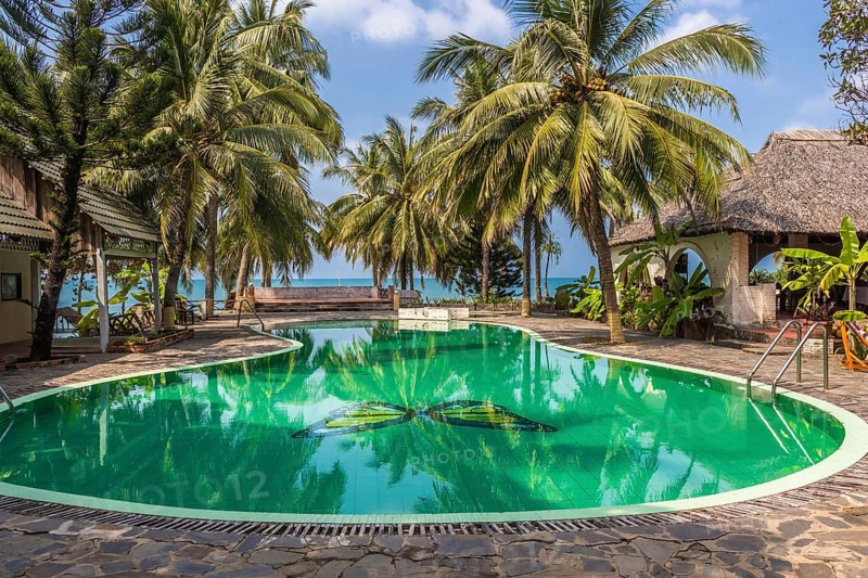 Swimming pool in tropical resort with palm trees and sea on horizon