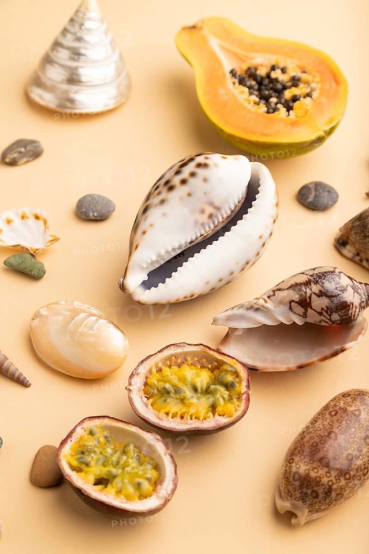 Ripe cut papaya, passion fruit, melon, seashells, pebbles on orange pastel background. Side view, close up. Tropical, healthy food, vacation, holidays concept