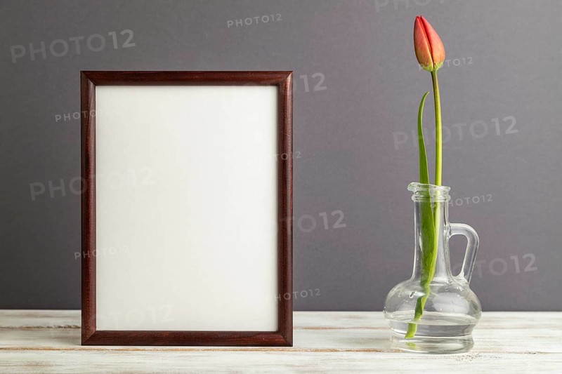 Wooden frame with red tulip flower in glass on gray pastel background. side view, copy space, still life, mockup, template, spring, summer minimalism concept