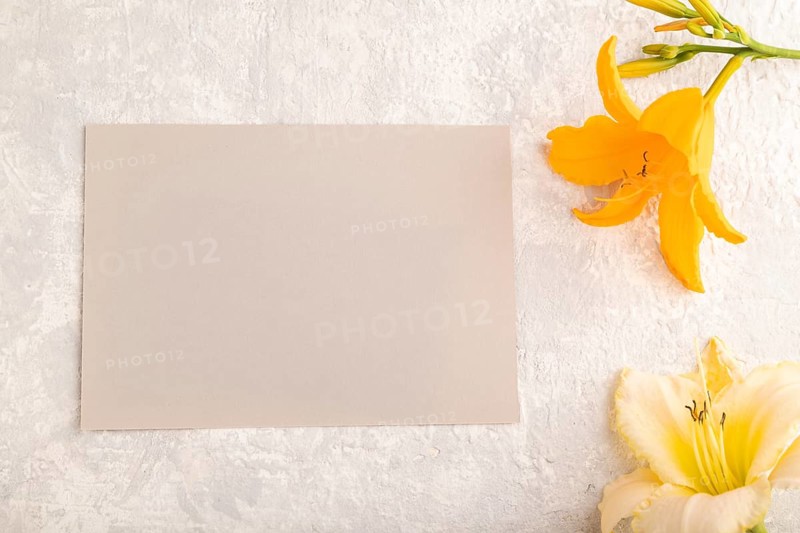 Gray paper business card mockup with orange day-lily flower on gray concrete background. Blank, top view, copy space, still life. spring concept