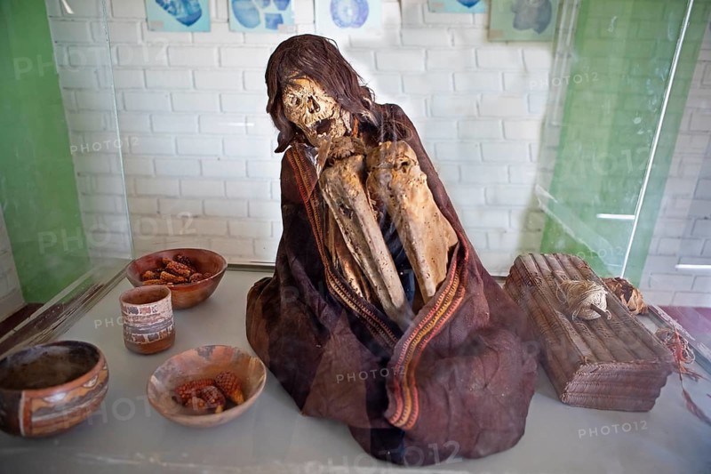 Mummy in a display case, Chauchilla burial ground or desert cemetery, Ica region, Nazca province, Peru, South America