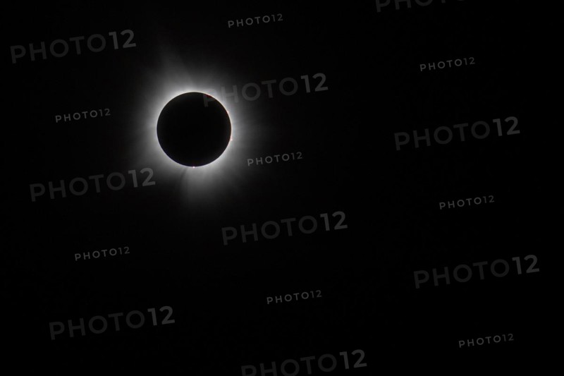 Van Wert, Ohio USA, 8 April 2024, A total solar eclipse, seen from northwestern Ohio. The reddish prominences projecting around from the moon's shadow are spots of plasma erupting from deep within the sun