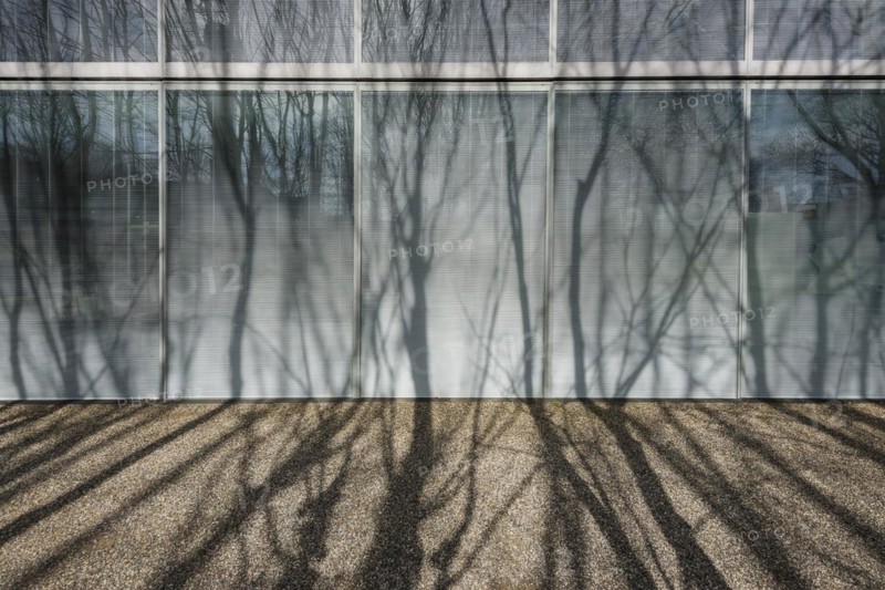 Modern architecture, office building, architects Sejima & Nishizawa (SANAA), Novartis Campus, Basel, Canton of Basel-Stadt, Switzerland, Europe