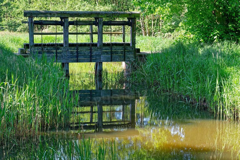 Lock on the Friedrichskanal and Dannefelder Moorgraben in the UNESCO Drömling Biosphere Reserve. Dannefeld, Hanseatic town of Gardelegen in the Altmark, Saxony-Anhalt, Germany, Europe