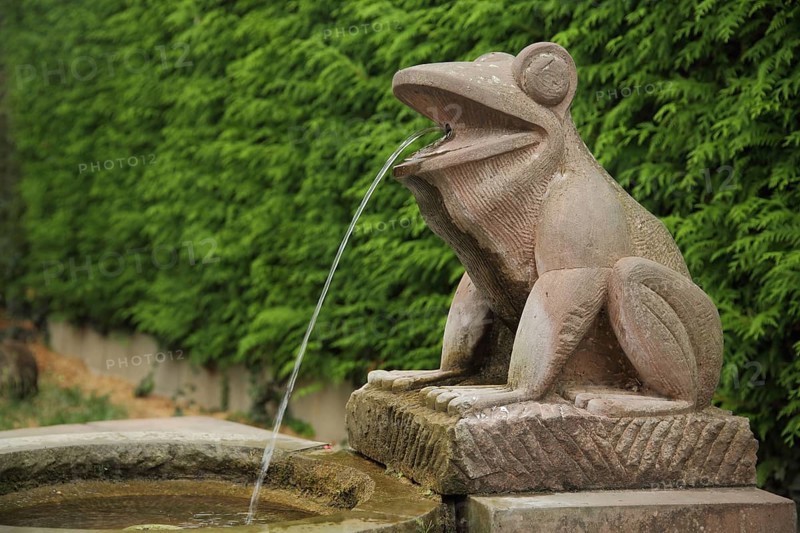Frog fountain made of red stone 1992, frog figure, water jet, mouth, sitting, open, red, Welschgraben, Zeilsheim, Main, Frankfurt, Hesse, Germany, Europe