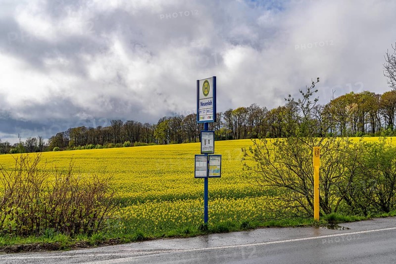 Bus stop, local transport in the countryside, near Breckerfeld, Neuenloh stop, on the L528, Ennepe-Ruhr district, North Rhine-Westphalia, Germany, Europe