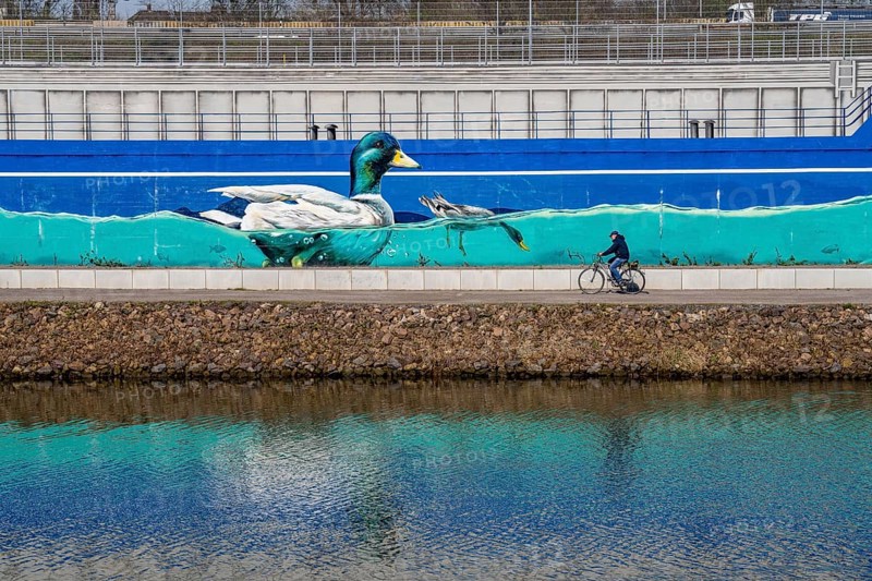 Stormwater overflow basin on Osterfelder Straße in Oberhausen, on the Rhine-Herne Canal and the Emscher, behind it, on the Emscher Island, where clean rainwater is separated from dirty wastewater, part of the Emscher conversion, graffiti with ducks and other aquatic animals that can now live on and in the Emscher again, North Rhine-Westphalia, Germany, Europe