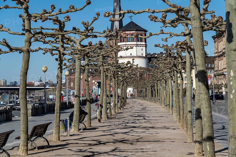 Empty Rhine embankment promenade, consequences of the contact ban, effects of the coronavirus pandemic in Germany, Düsseldorf
