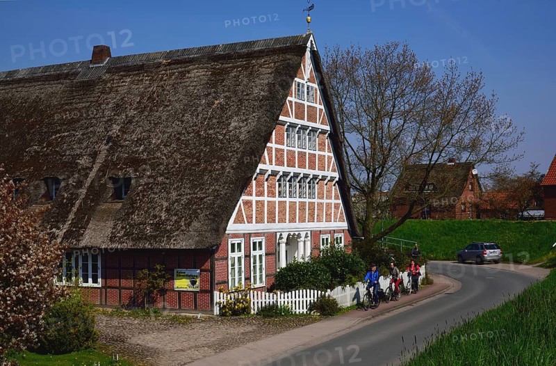 Europe, Germany, Lower Saxony, Altes Land near Hamburg, Steinkirchen an der Lühe, old half-timbered farmhouse behind the Lühe dyke, artistic brickwork of the half-timbered house, Hamburg, Hamburg, Federal Republic of Germany, Europe