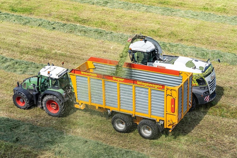 Hay harvest, on a Rhine meadow near Duisburg-Beeckerwerth, a forage harvester picks up the cut grass, which was piled up in strips after cutting, and loads it into a silage wagon, cattle feed, North Rhine-Westphalia, Germany, Europe