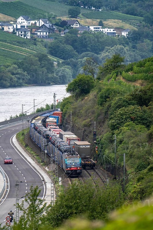 Upper Middle Rhine Valley, railway line on the right bank of the Rhine, goods train line, up to 400 freight trains run here within 24 hours, on both sides, through the Rhine Valley, directly through villages and close to buildings, vineyard, near the village of Lorch, Hesse, Germany, Europe