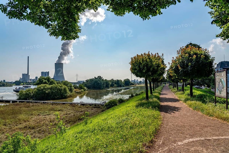 Embankment, promenade, part of the flood protection dyke on the Rhine, Walsum power station, cooling tower, Rheinberg-Orsoy, North Rhine-Westphalia, Germany, Europe
