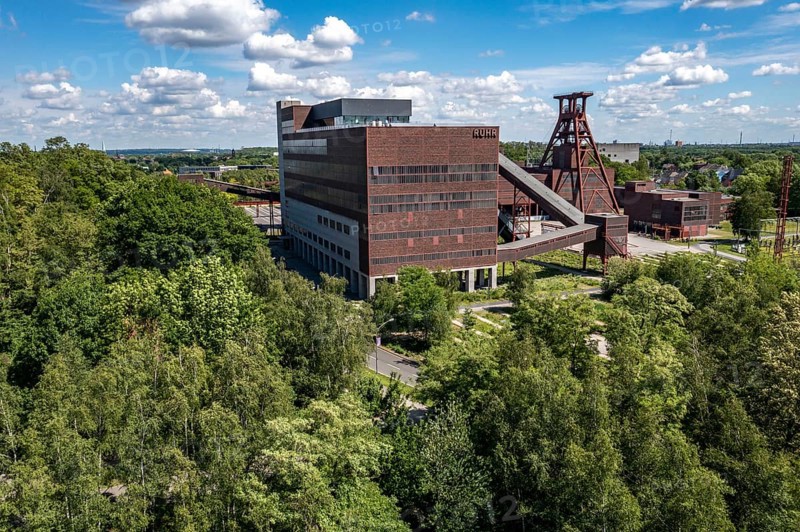 The Zollverein slag heap, between shaft XII and the Zollverein coking plant, biotope densely covered with birch trees, Essen North Rhine-Westphalia, Germany, Europe