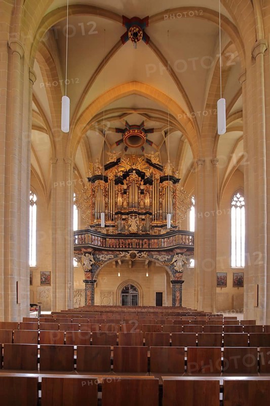 Organ of the Gothic UNESCO Severi Church, St Severi, interior view, Domplatz, Erfurt, Thuringia, Germany, Europe